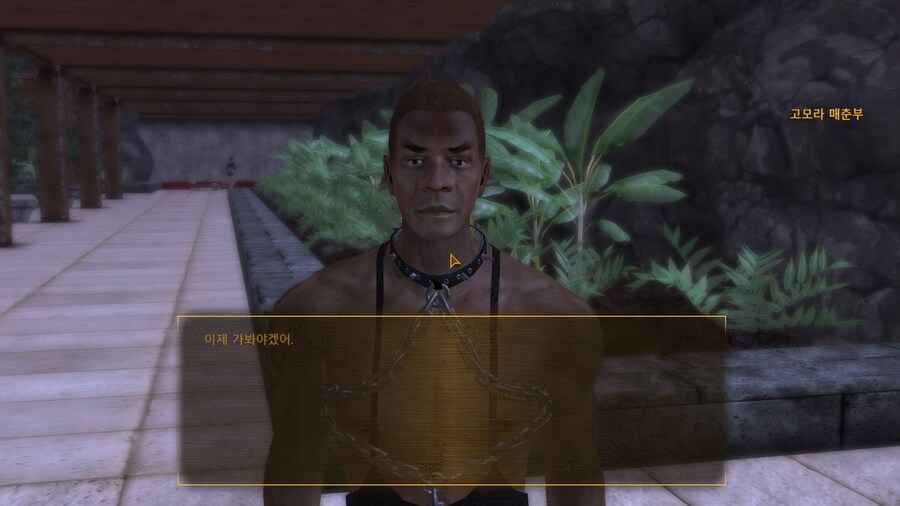 (폴아웃뉴베가스)애들아 매춘부사진좀볼래?_2.jpg