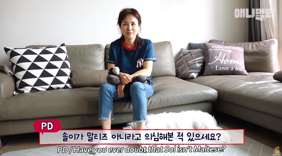 엄청난 화제였던 몰티즈.gif_9.png