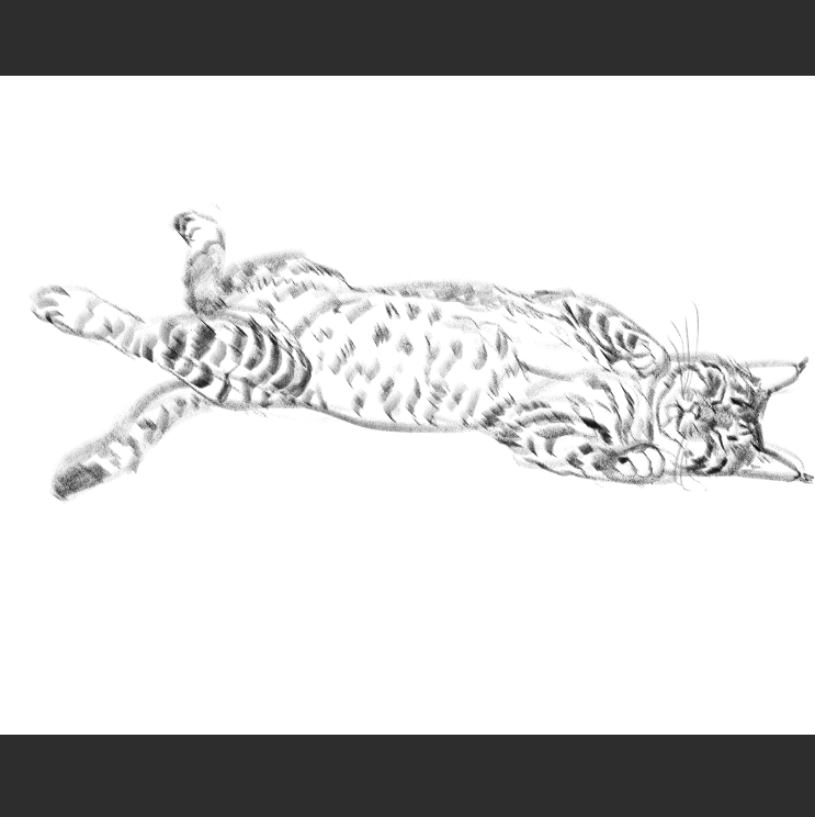 우리집 고등어고양이 보고가셈_4.png