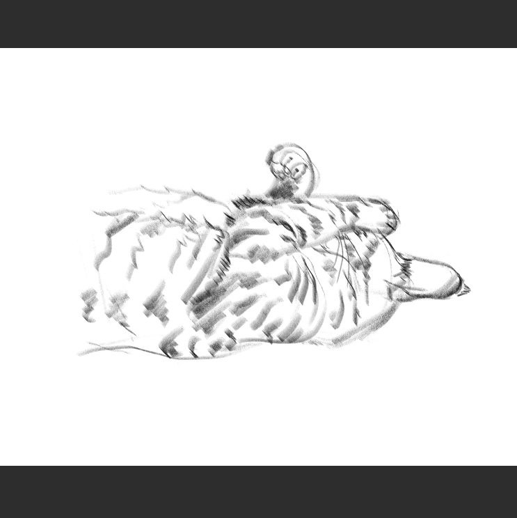 우리집 고등어고양이 보고가셈_5.png