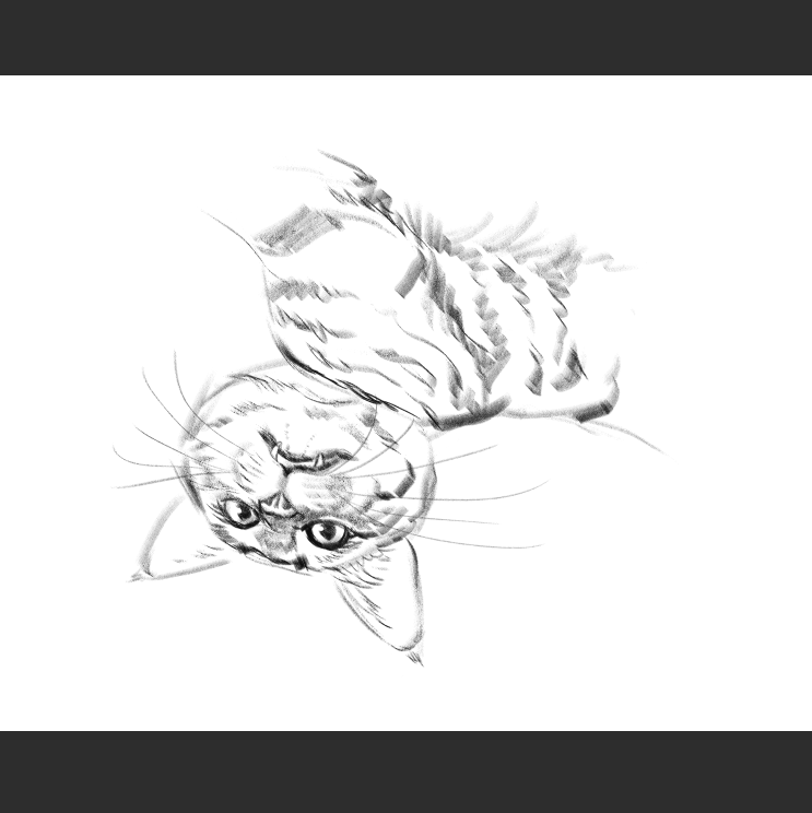 우리집 고등어고양이 보고가셈_7.png