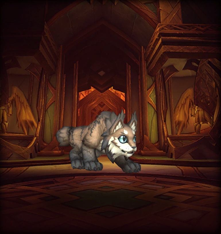 와우 2025 어린이 주간 신규 변경점_14.png