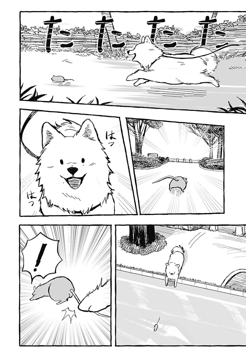 아오이의 방에 다시금 봄이 찾아왔다 만화 .manhwa_26.png