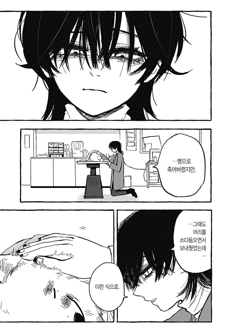 아오이의 방에 다시금 봄이 찾아왔다 만화 .manhwa_33.png