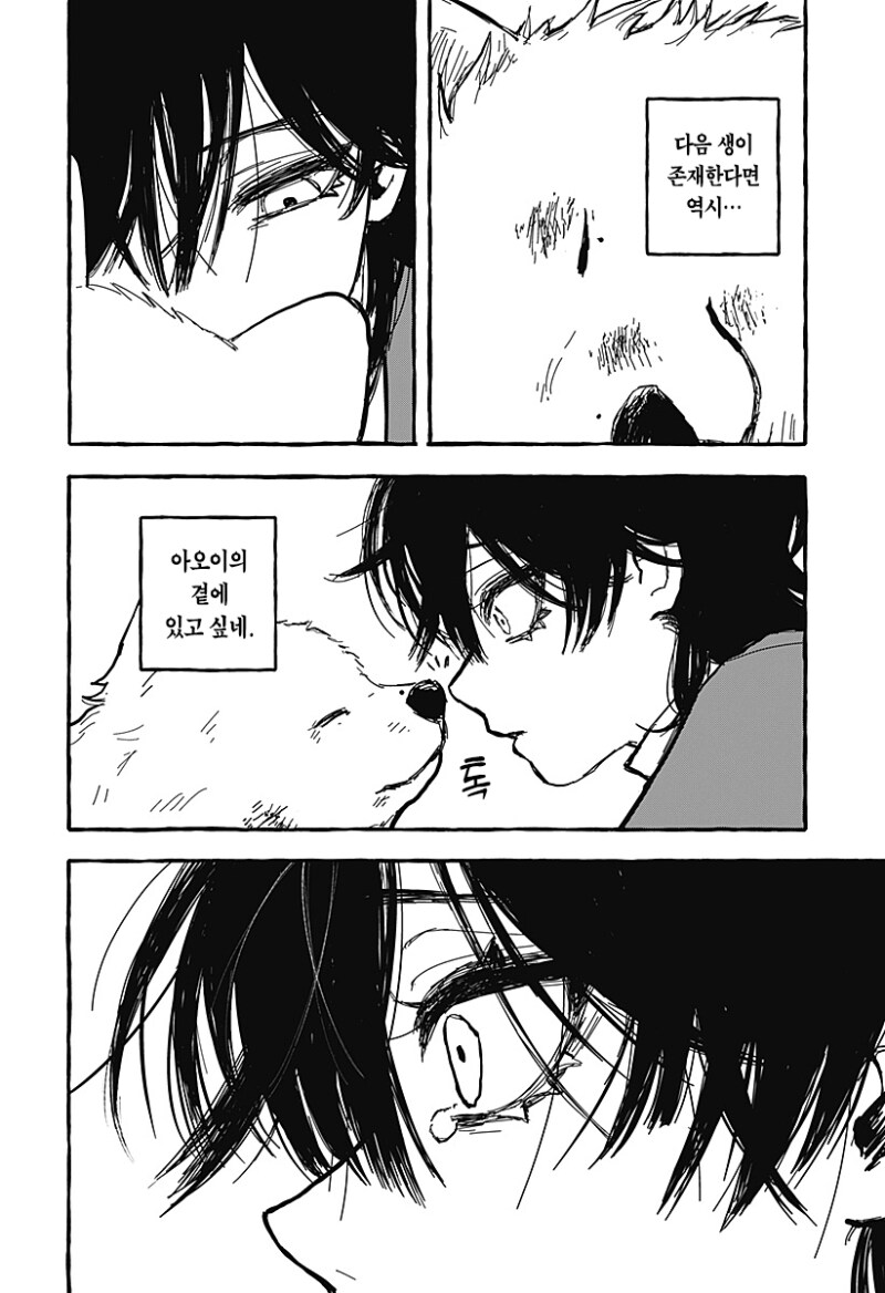 아오이의 방에 다시금 봄이 찾아왔다 만화 .manhwa_36.png