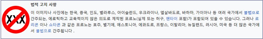 꺼무위키 성인물 편집지침 개정 존나 웃기네._1.png