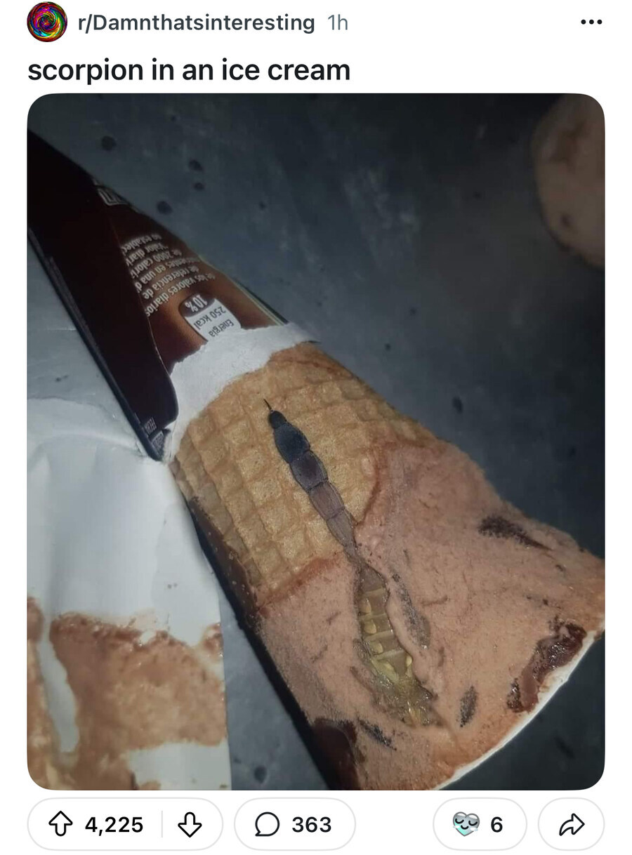 의외로 해외에서 아이스크림에 넣는게 불법인 것 jpg_1.jpg