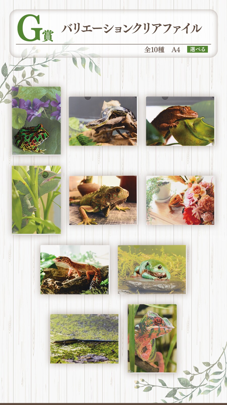 [이치방쿠지][5/2]파충류&양서류 Tiny Friends (재판)&nbsp;한국발매_8.png