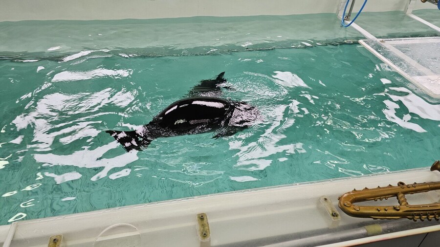 도대체 왜 여기서 사는지 모르는 생물.jpg_1.jpg