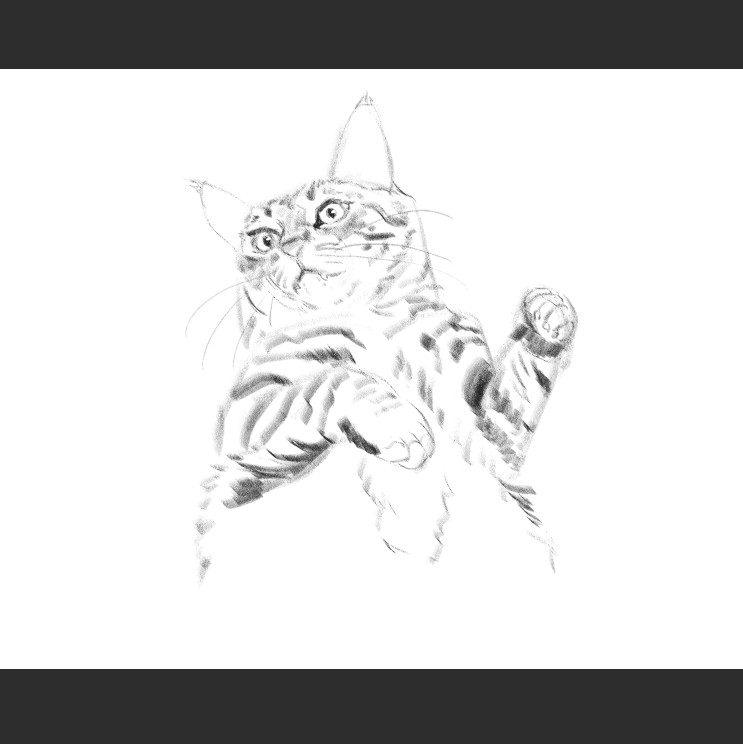 우리집 고등어고양이 보고가셈_5.png