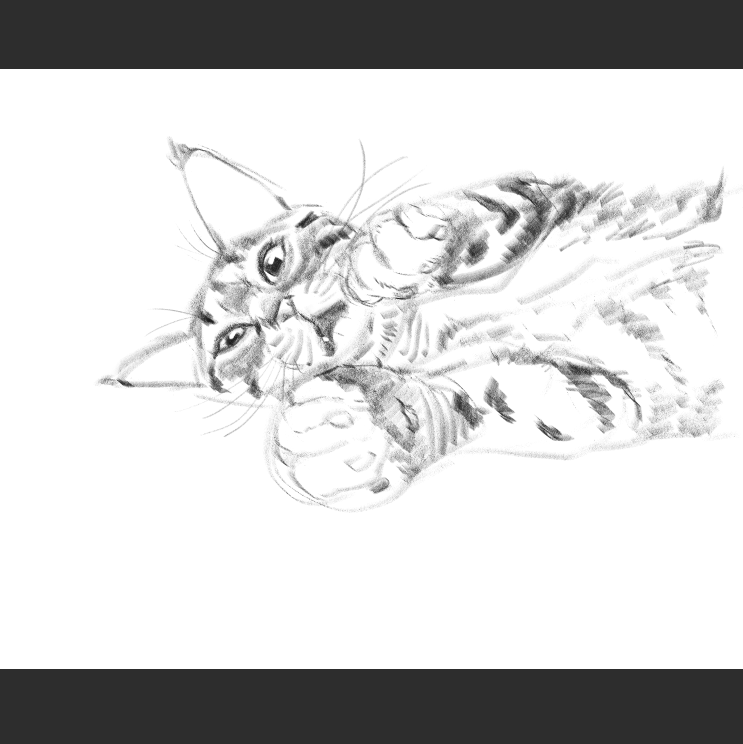 우리집 고등어고양이 보고가셈_7.png