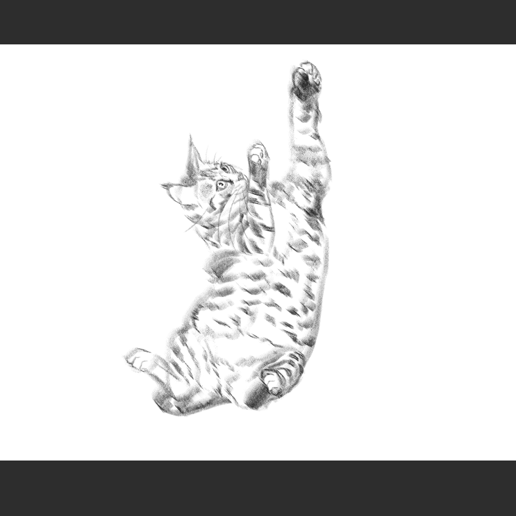 우리집 고등어고양이 보고가셈_8.png