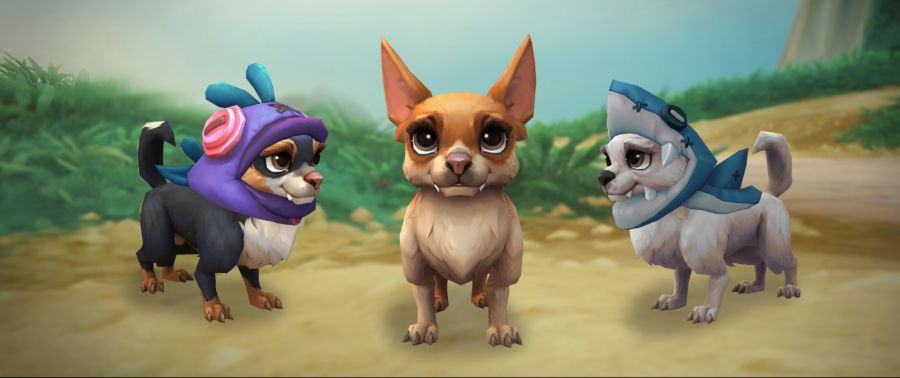 와우 5월의 교역소는 동물의 왕국으로_1.jpg