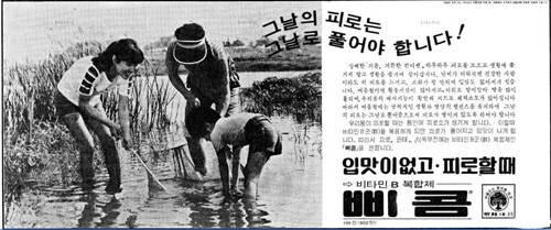 혐?짤주의)누더기글)옥수수와 얽힌 비사_9.jpg