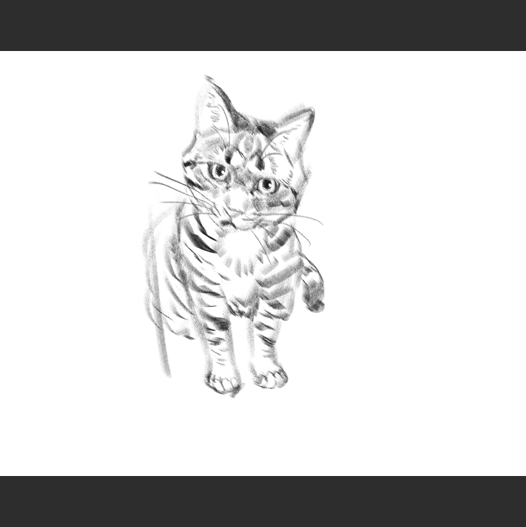 우리집 고등어고양이 보고가셈_4.png