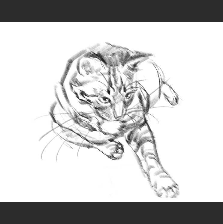 우리집 고등어고양이 보고가셈_5.png