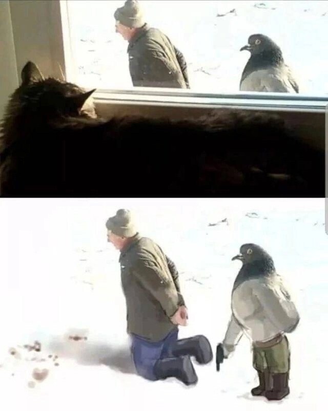 죽기 전 마지막으로 할 말은? 인간?_1.jpg