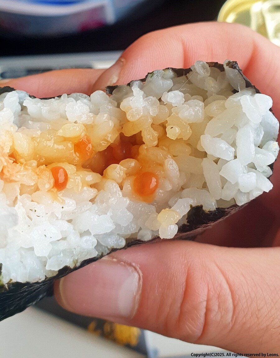 술집 '다이토카이(大都会)' 방문 소감 feat.화이트교자&마무리로 '라멘'_12.jpg