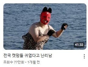 전국 캣맘들 귀엽다고 난리남_1.jpg