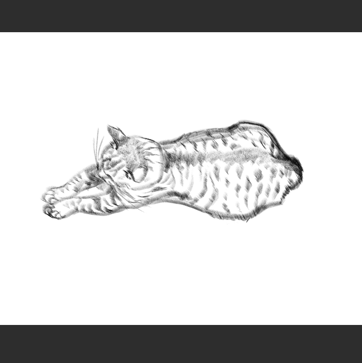 우리집 고등어고양이 보고가셈_1.png