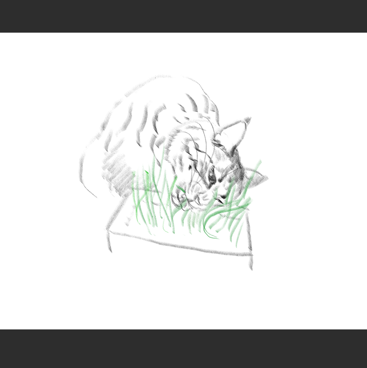 우리집 고등어고양이 보고가셈_5.png