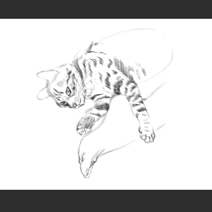 우리집 고등어고양이 보고가셈_6.png