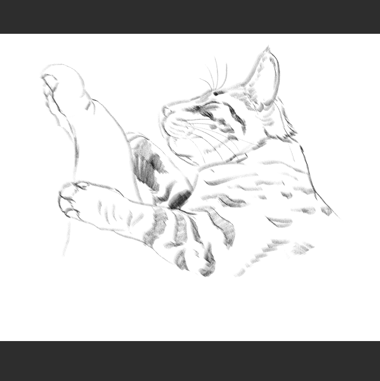 우리집 고등어고양이 보고가셈_7.png