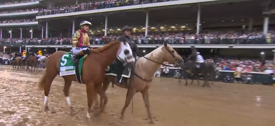 말딸,경마) 말들 : 이정도 마장 상태이면 다른날로 하죠?_3.jpg