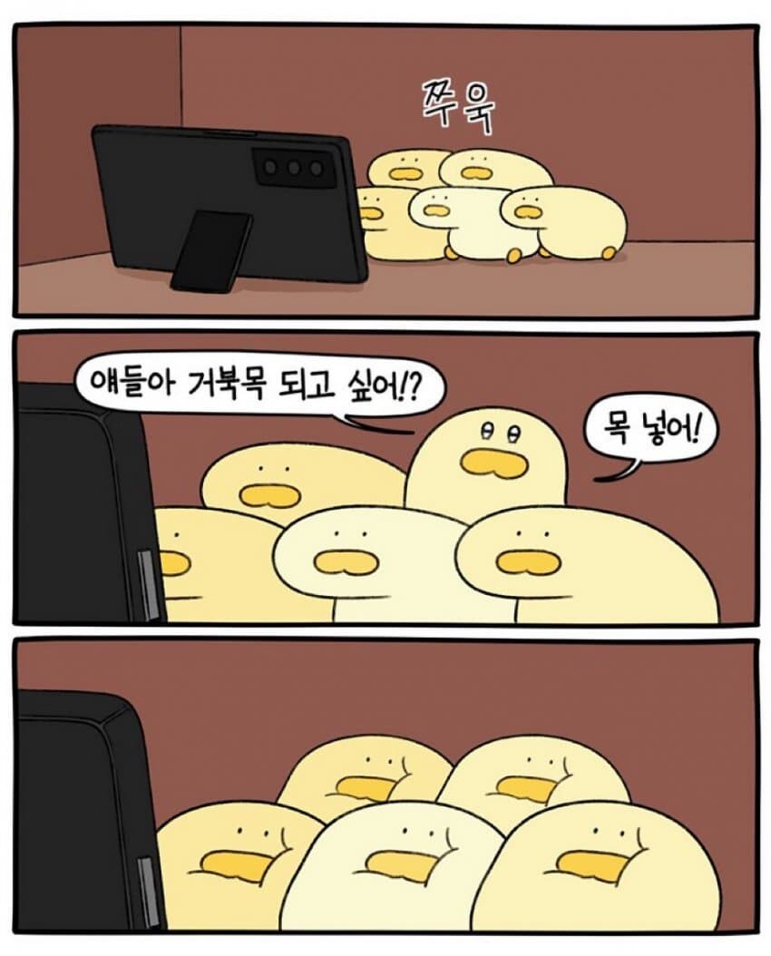 "얘들아, 거북목 되고 싶어!?"_1.jpg