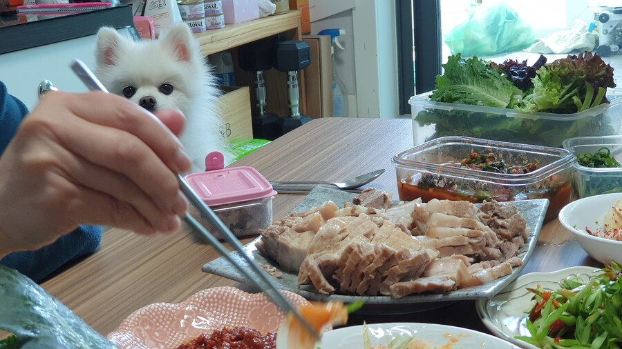 "수육.. 수육을 삶았구나!"_3.jpg