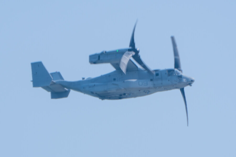 뒤늦게 올리는 강릉 탐조_8.jpg