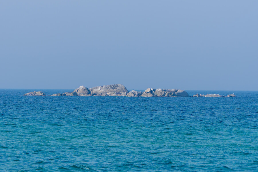 뒤늦게 올리는 강릉 탐조_18.jpg