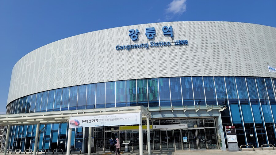 뒤늦게 올리는 강릉 탐조_82.jpg