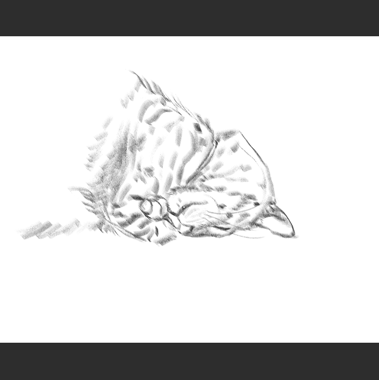 우리집 고등어고양이 보고가셈(feat.Ai어쩌구)_3.png