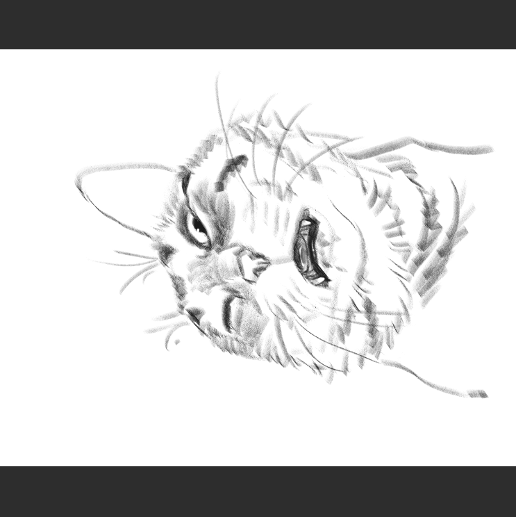 우리집 고등어고양이 보고가셈(feat.Ai어쩌구)_6.png