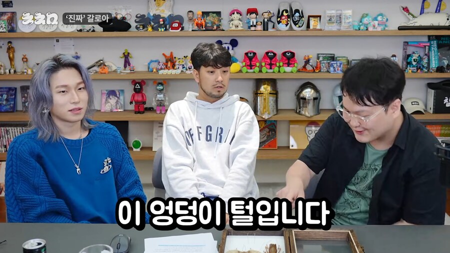 유튜브) 진짜 앞에서 말문이 막힌 곤충애호가_8.png