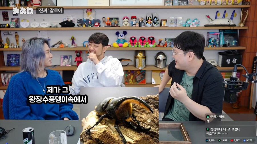 유튜브) 진짜 앞에서 말문이 막힌 곤충애호가_50.png