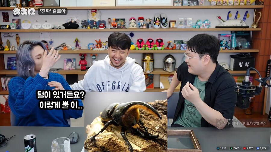 유튜브) 진짜 앞에서 말문이 막힌 곤충애호가_51.png