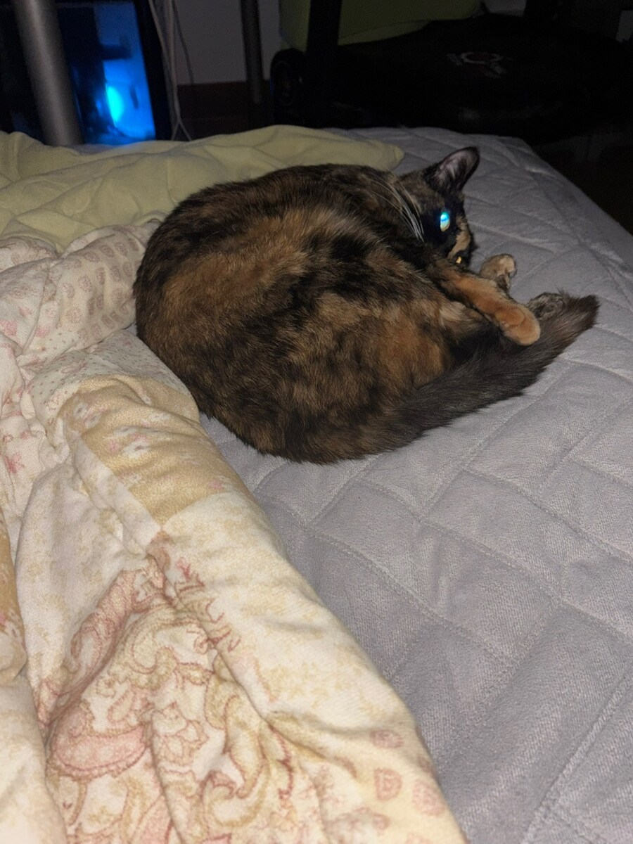 아빠 안잔다_1.jpg