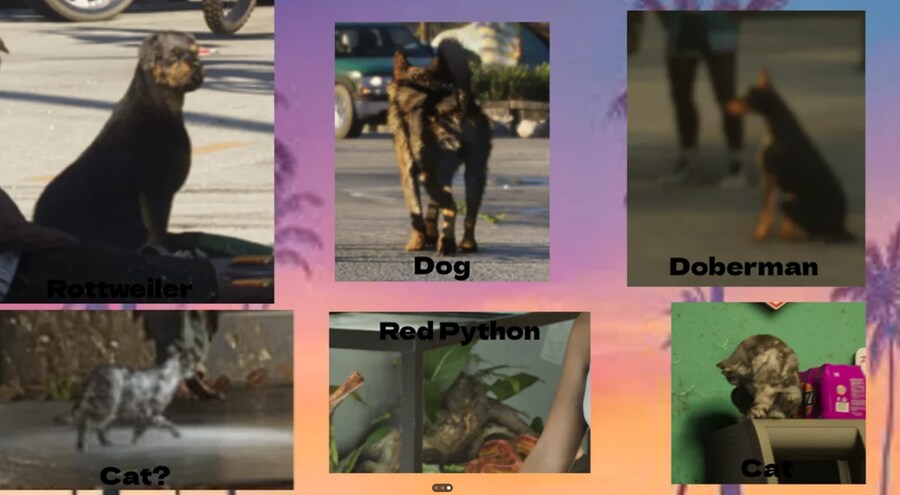 GTA 6 트레일러2의 디테일들_31.png