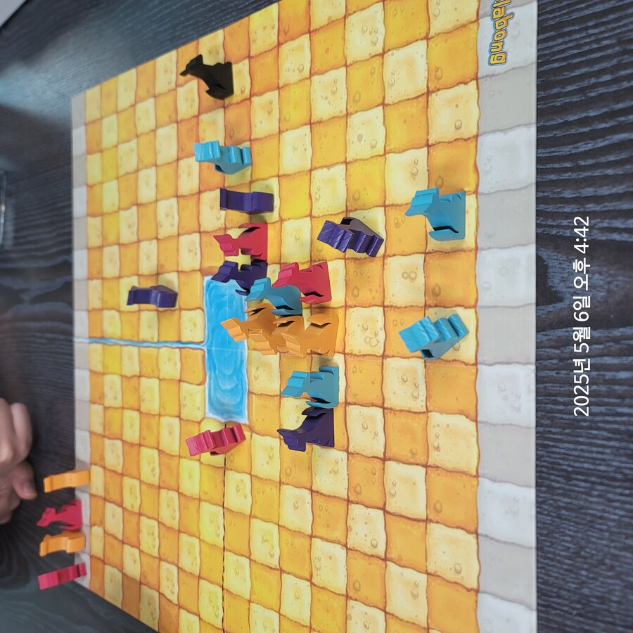 [콘노크] 최근 한 게임 간단 후기🎲🃏🌞🔥🦘_4.jpg