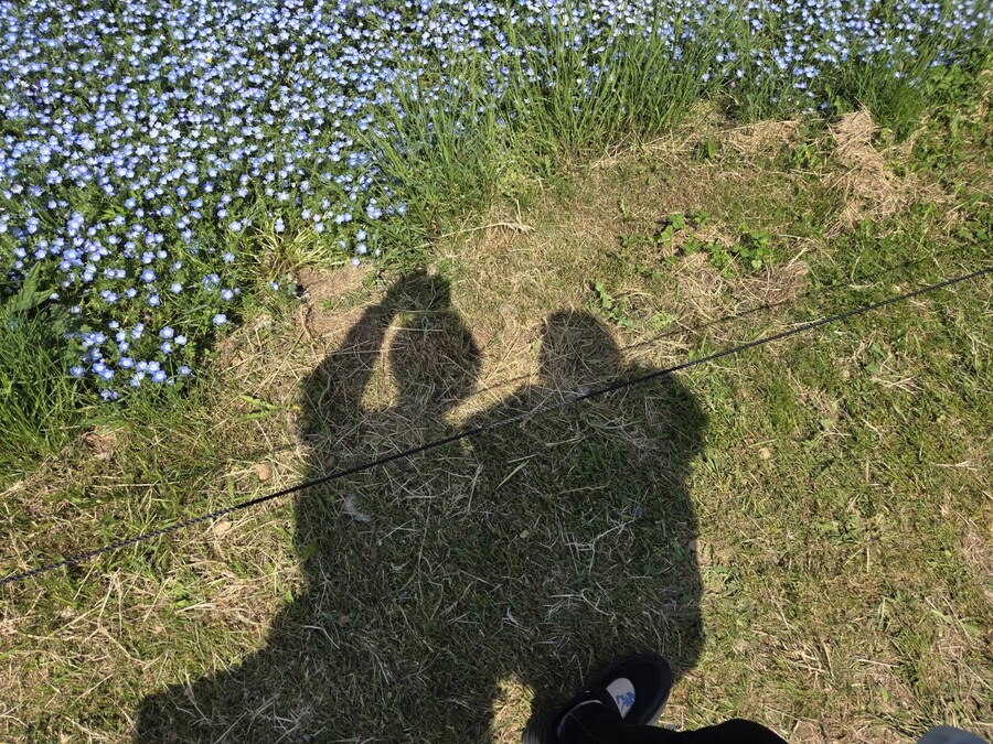 일본취업시리즈) 오늘은 뭘해도 안되는날이였다_1.jpg