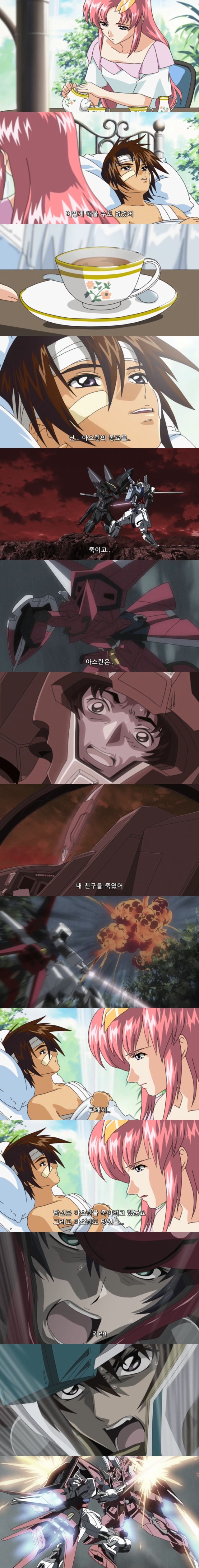 [건담 시드] 맞는 말 집어치우고 공감이나 하라고!_7.jpeg