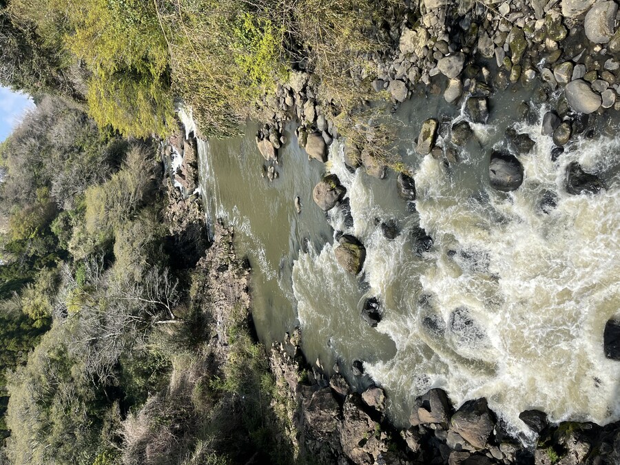 일본여행 - 구마모토_20.jpg