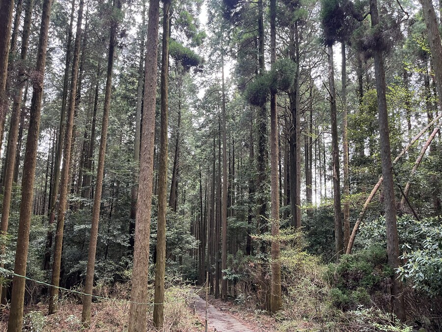 일본여행 - 구마모토_31.jpg