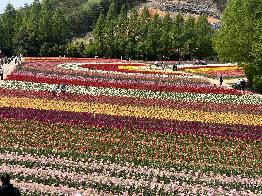 일본여행 1달 - 마트표음식 투어 (스크롤 주의)_160.jpg