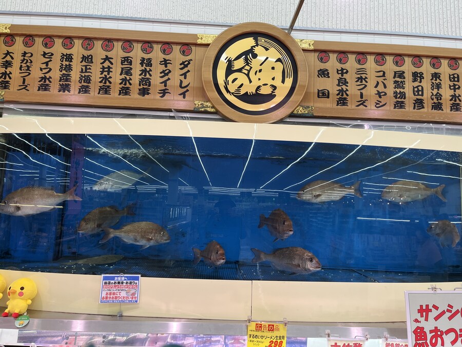 일본여행 - 오사카 ,시즈오카 후지산_14.jpg