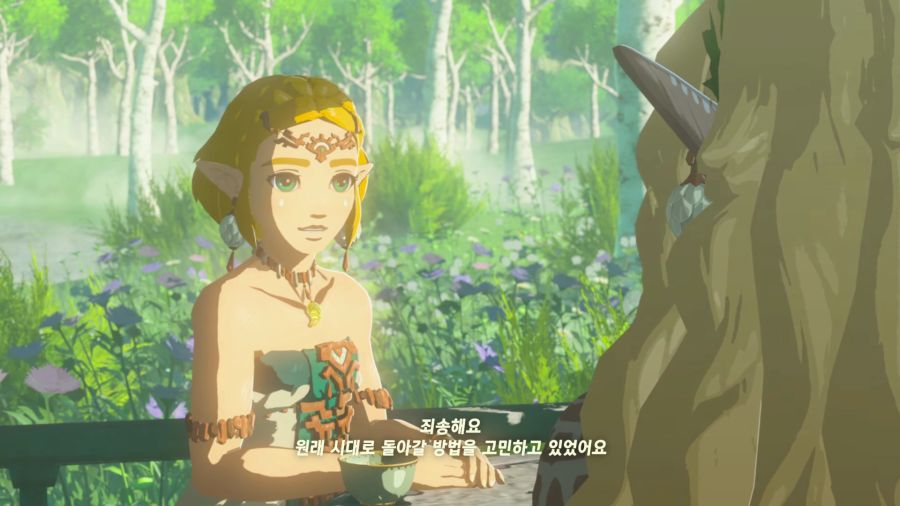 젤다의 전설 티어즈 오브 더 킹덤_32.png