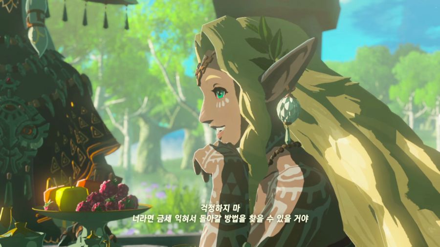 젤다의 전설 티어즈 오브 더 킹덤_35.png