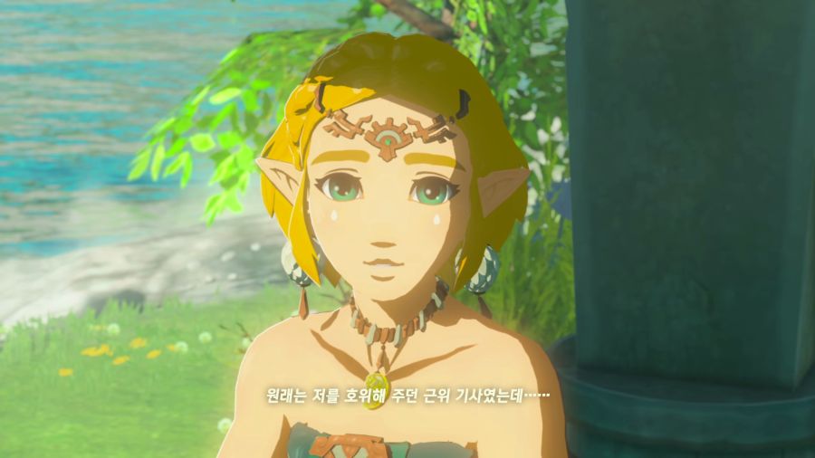 젤다의 전설 티어즈 오브 더 킹덤_49.png